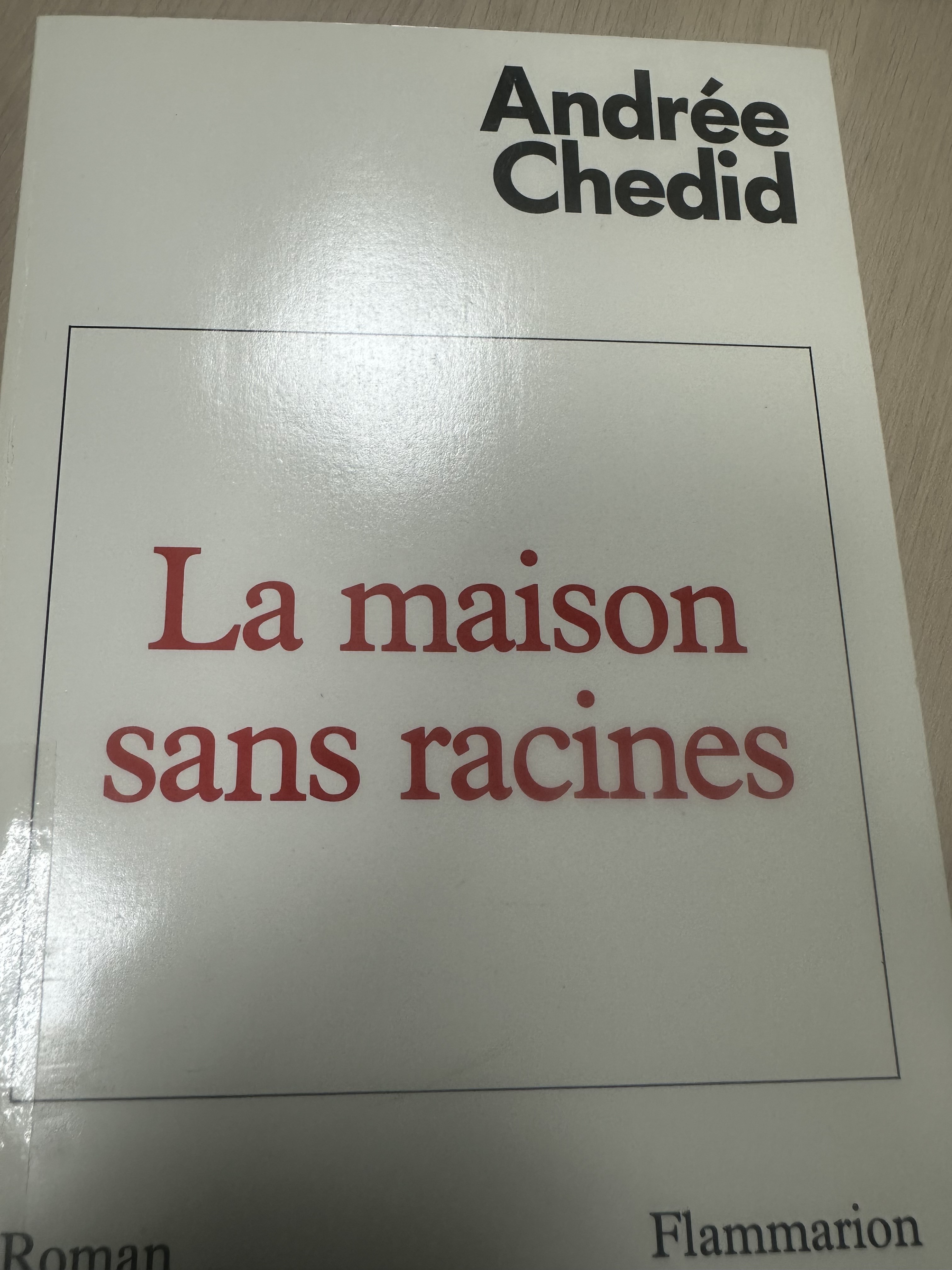 La Maison sans Racines - Click to enlarge picture.