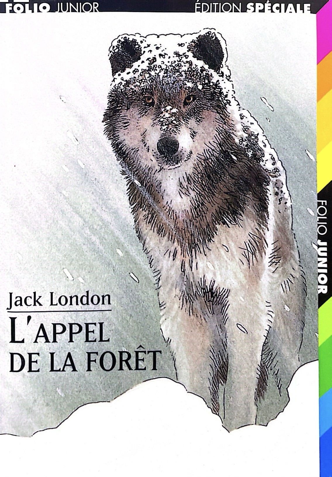 L'appel de la forêt - Click to enlarge picture.