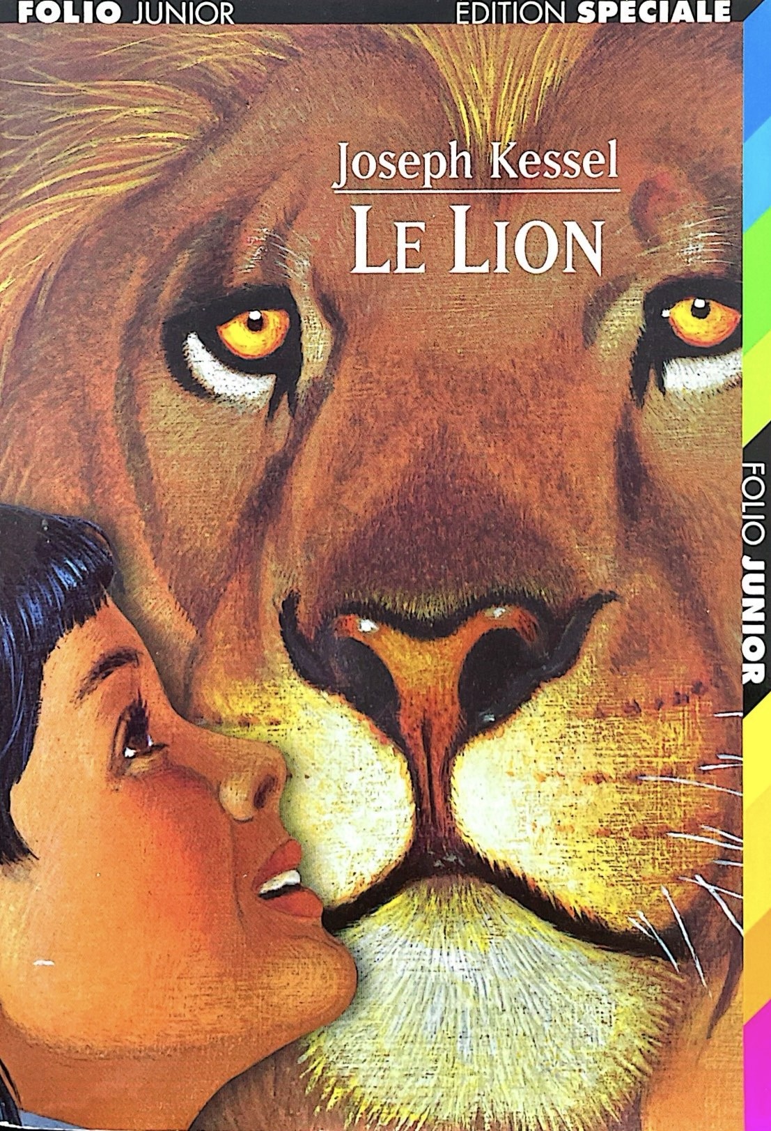 Le lion - Click to enlarge picture.
