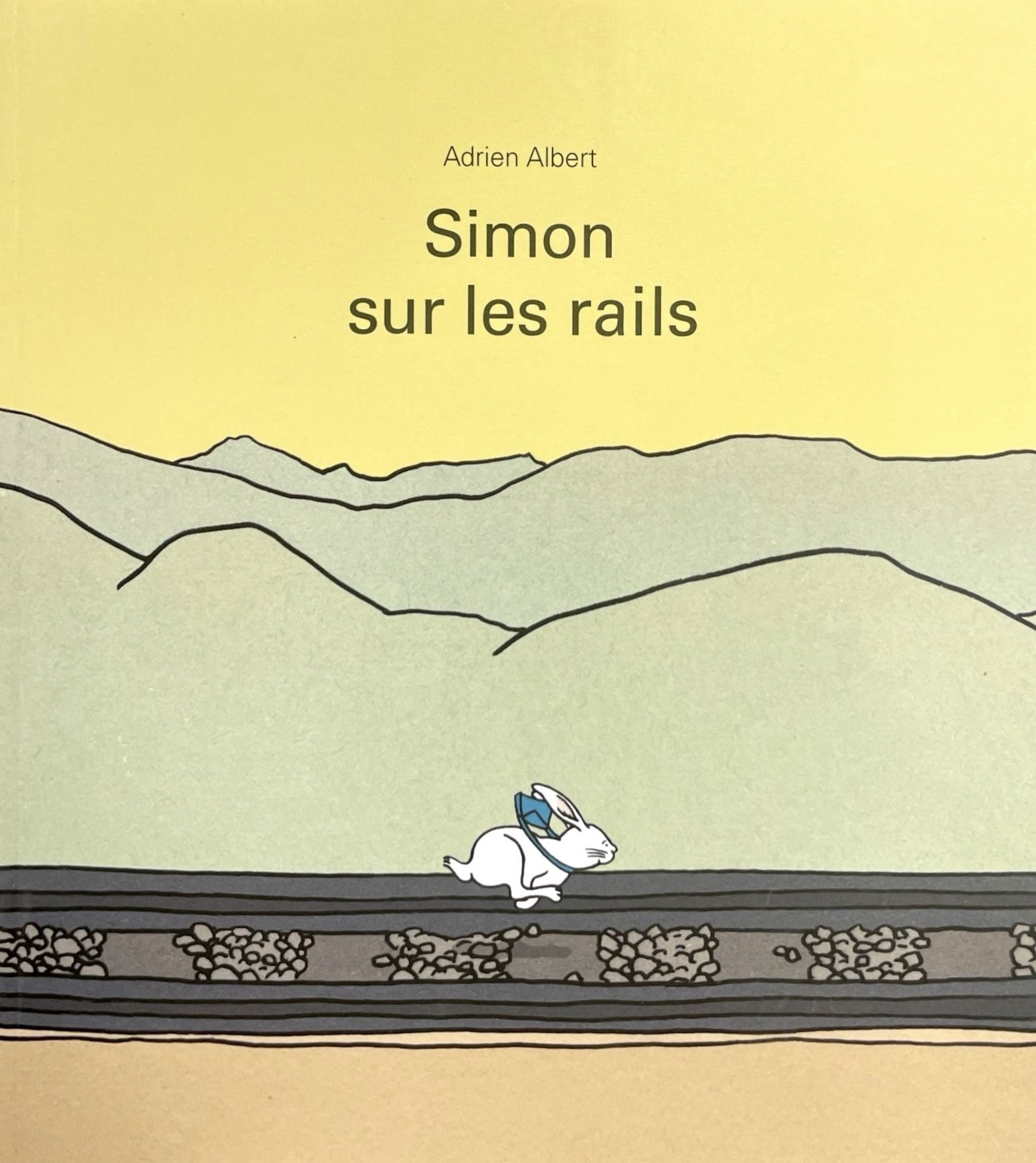 Simon sur les rails - Click to enlarge picture.