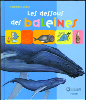 Les dessous des baleines - Click to enlarge picture.