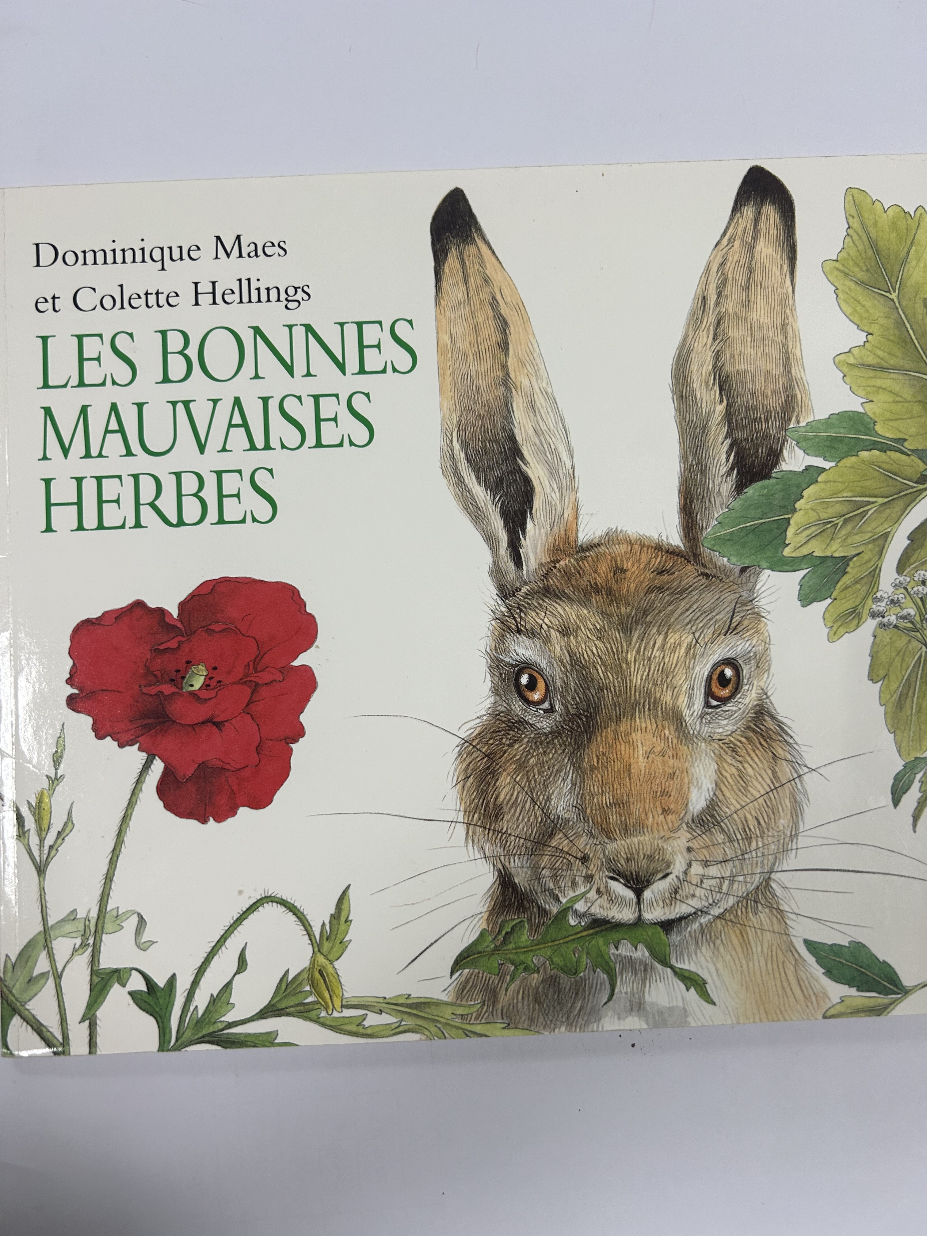 Les bonnes mauvaises herbes - Click to enlarge picture.