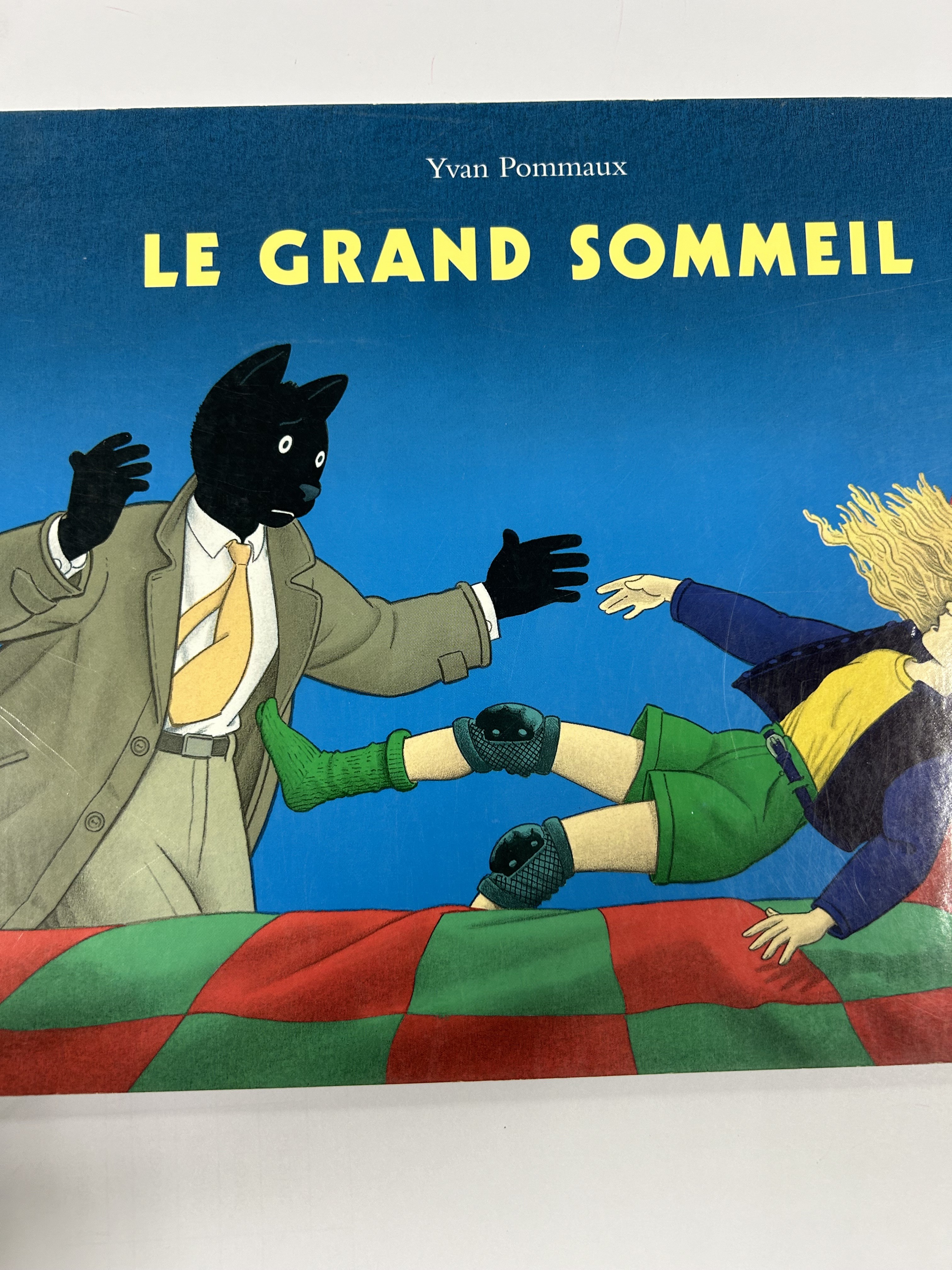Le grand sommeil - Click to enlarge picture.