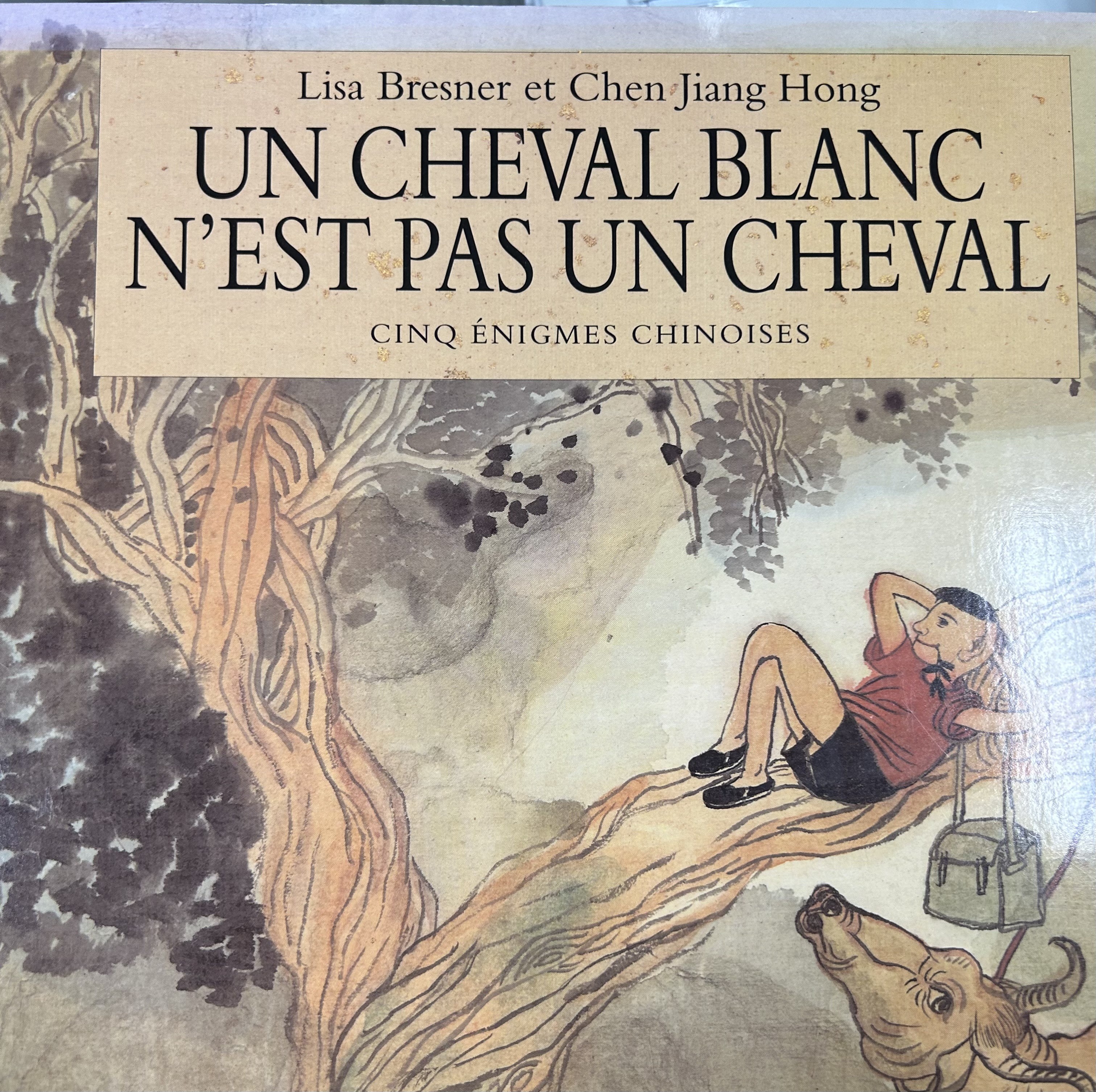 Un cheval blanc n'est pas un cheval - Click to enlarge picture.
