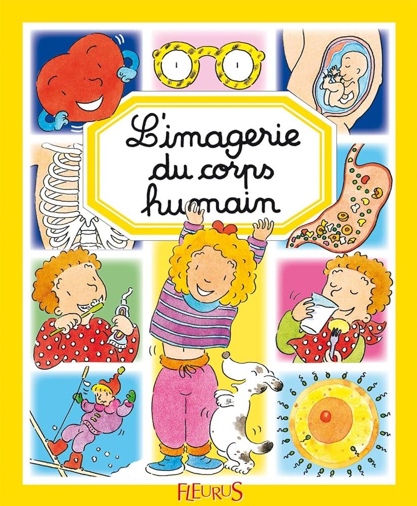 L'imagerie du corps humain - Click to enlarge picture.