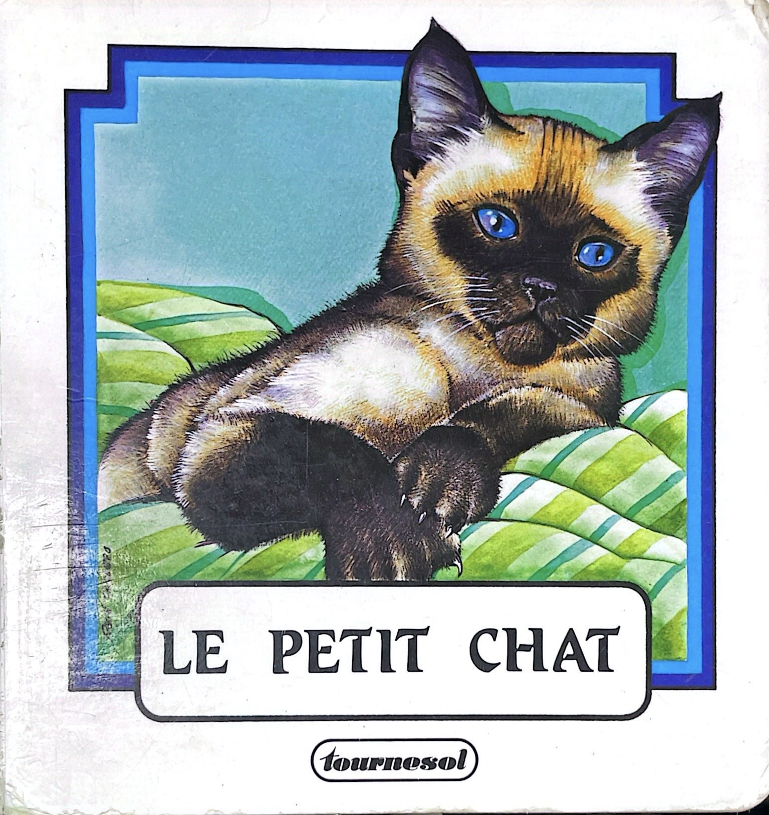 Le petit chat - Click to enlarge picture.