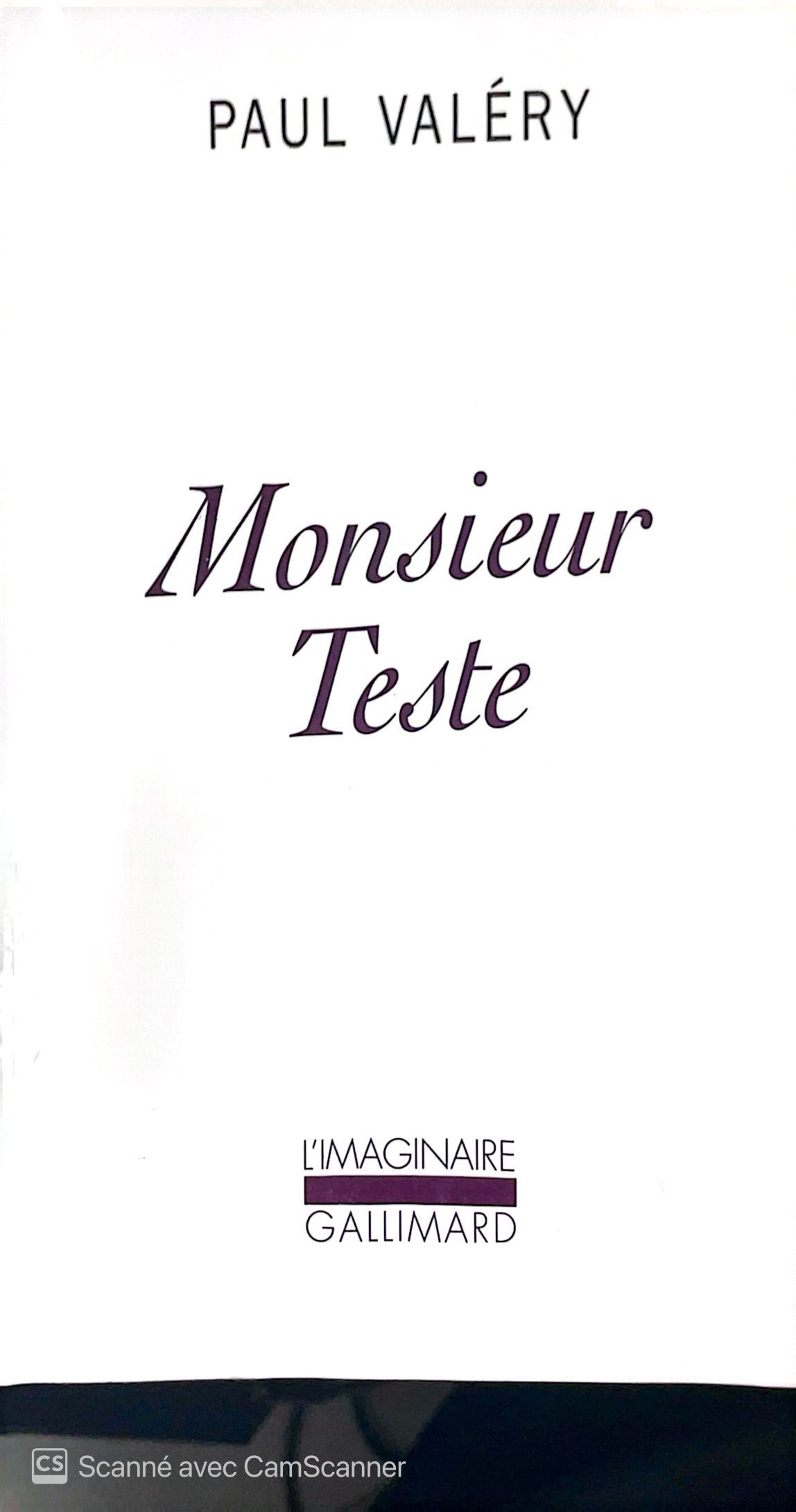 Monsieur Teste - Click to enlarge picture.