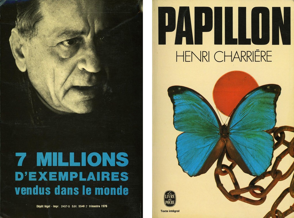 Papillon - Click to enlarge picture.