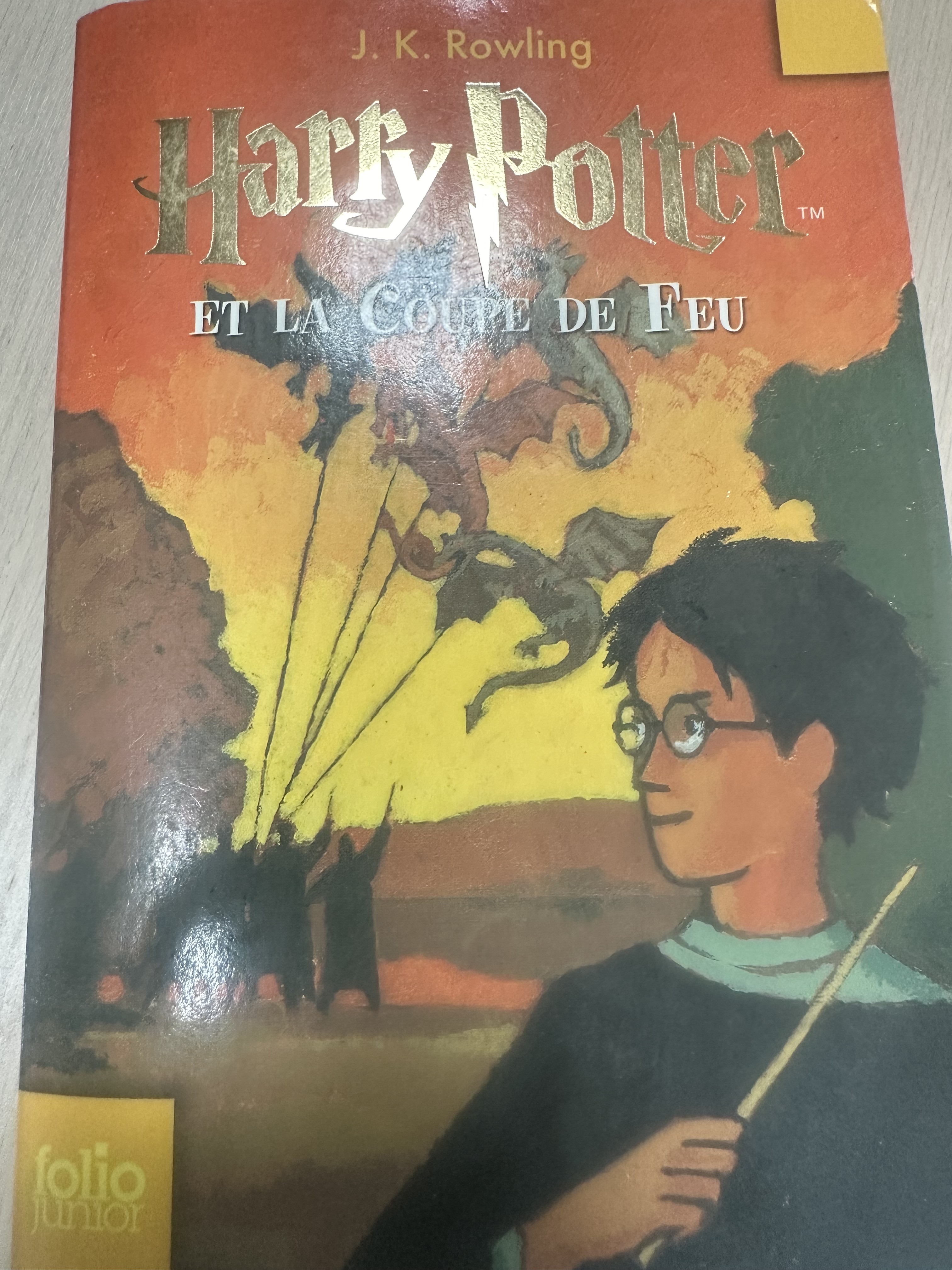 Harry Potter et la coupe de feu - Click to enlarge picture.