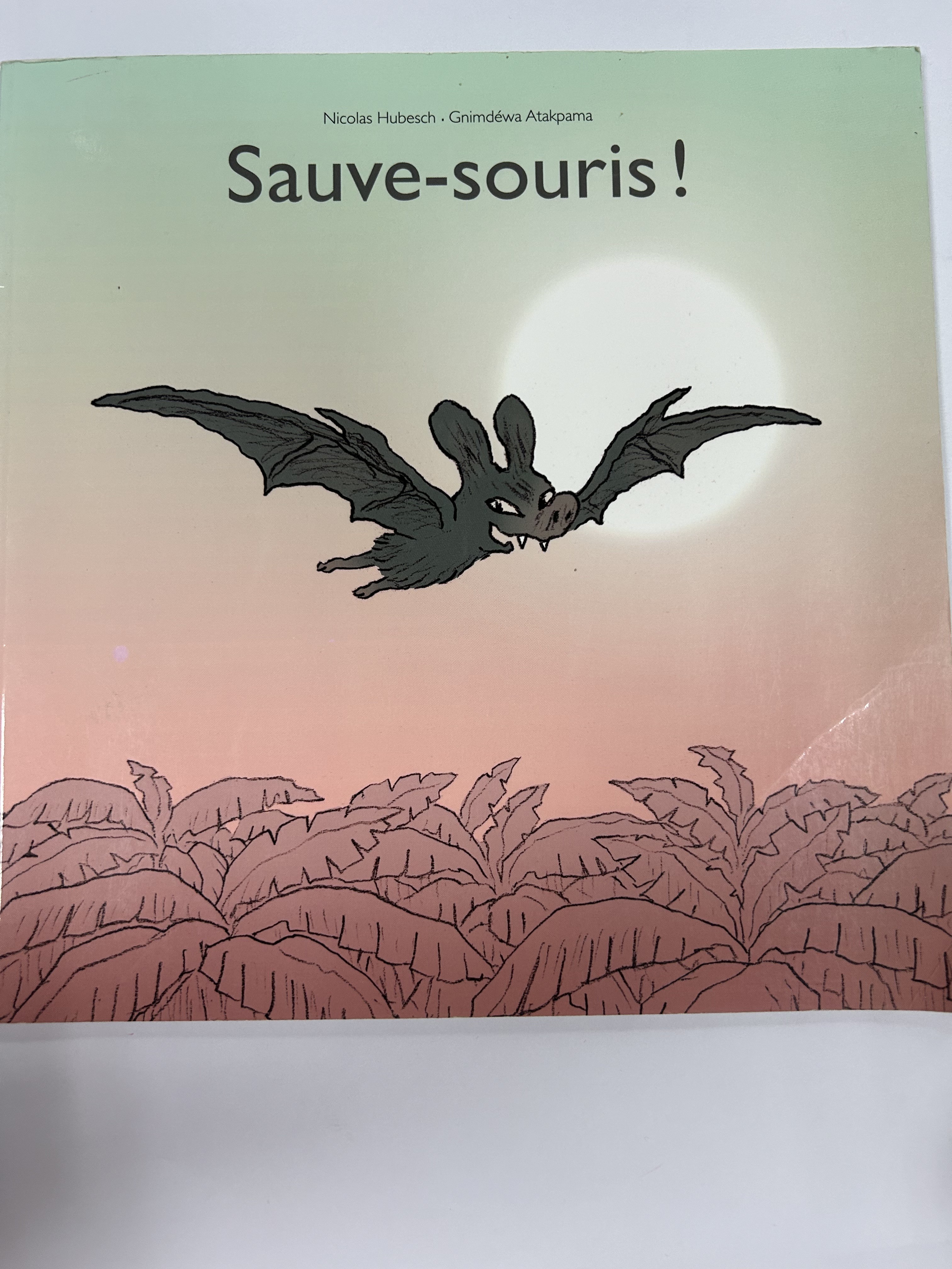 Sauve-souris ! - Click to enlarge picture.